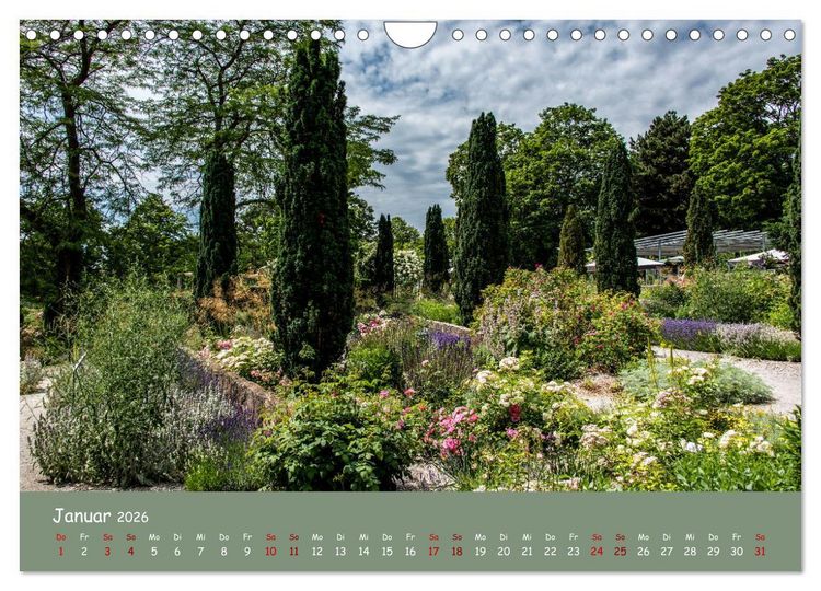 Produktbild: Erfurt erbl&uuml;ht (Wandkalender 2026 DIN A4 quer), CALVENDO Monatskalender