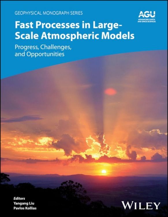 Produktbild: Fast Processes in Large-Scale Atmospheric Models