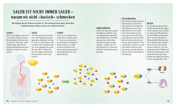 Produktbild: S&auml;ure-Basen-Kochbuch