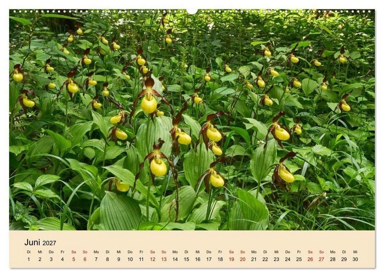 Produktbild: Franken - eine Region voller Naturwunder (Wandkalender 2027 DIN A2 quer), CALVENDO Monatskalender