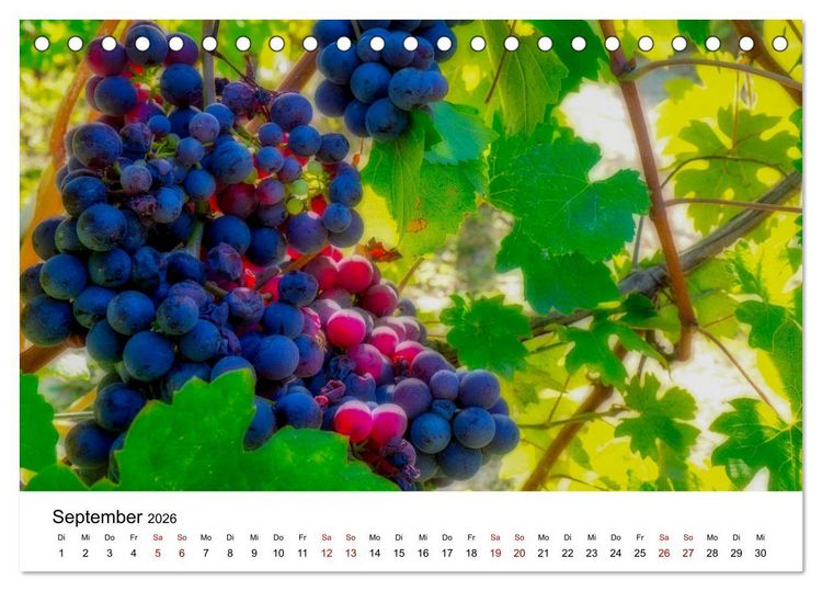 Produktbild: Piemont und Turin (Tischkalender 2026 DIN A5 quer), CALVENDO Monatskalender