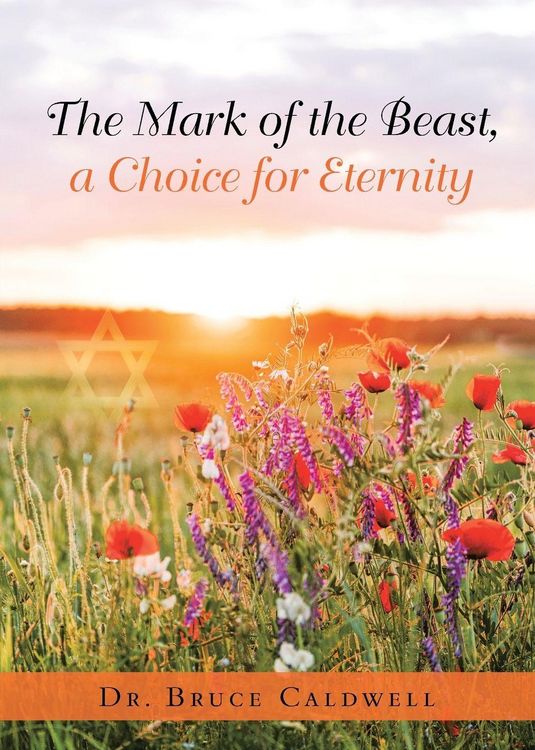 Produktbild: The Mark of the Beast, a Choice for Eternity