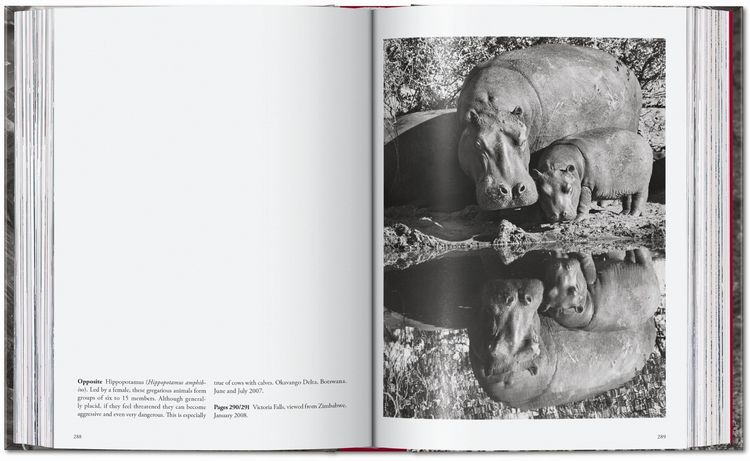 Produktbild: Sebasti&atilde;o Salgado