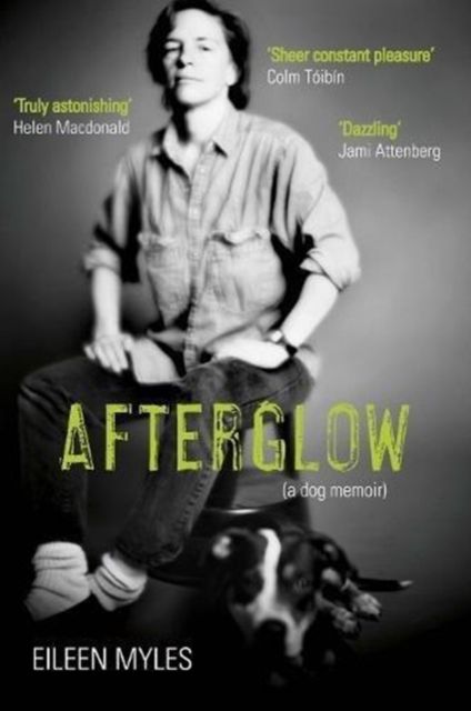 Produktbild: Afterglow