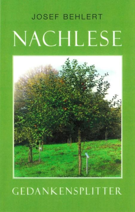Produktbild: Nachlese - Gedankensplitter