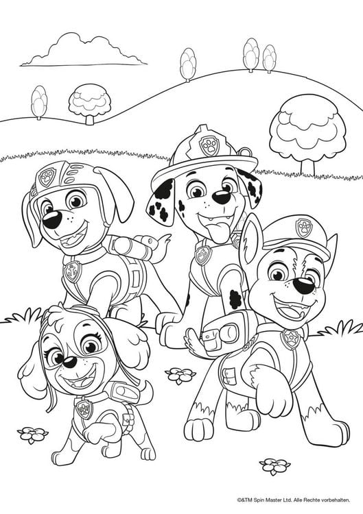 Produktbild: PAW Patrol Kindergartenheft: Mein liebster Malblock
