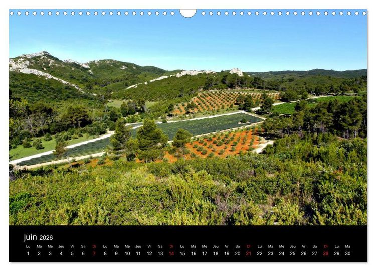 Produktbild: Les Alpilles en Provence (Calendrier mural 2026 DIN A3 vertical), CALVENDO calendrier mensuel