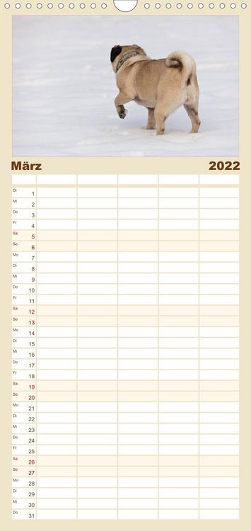 Produktbild: Mops - Familienplaner hoch (Wandkalender 2022 , 21 cm x 45 cm, hoch)