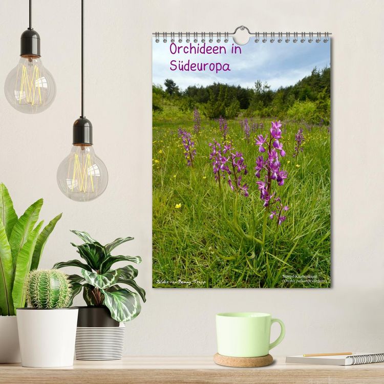 Produktbild: Orchideen in S&uuml;deuropa (Wandkalender 2026 DIN A4 hoch), CALVENDO Monatskalender