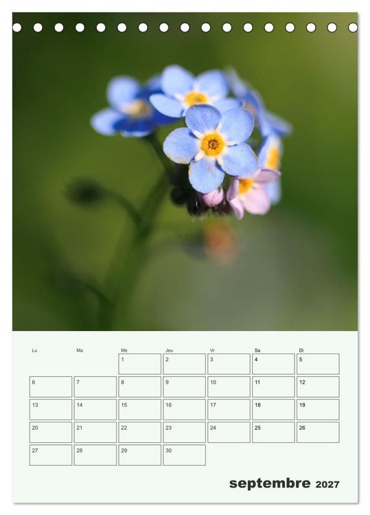 Produktbild: Les fleurs, &eacute;ternelles &eacute;phem&egrave;res (Calendrier de bureau 2027 DIN A5 horizontal), CALVENDO calendrier mensuel