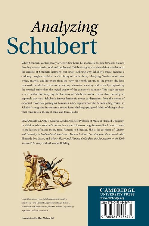 Produktbild: Analyzing Schubert