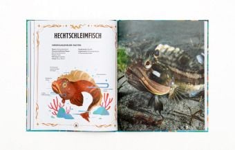 Produktbild: Echte Meeresungeheuer