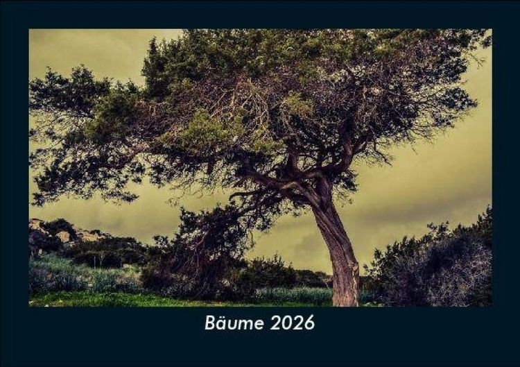 Produktbild: B&auml;ume 2026 Fotokalender DIN A5