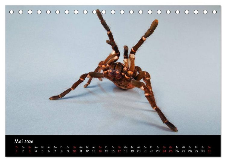 Produktbild: Mystische Vogelspinnen (Tischkalender 2026 DIN A5 quer), CALVENDO Monatskalender