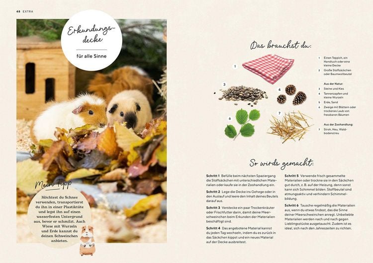 Produktbild: Meerschweinchen