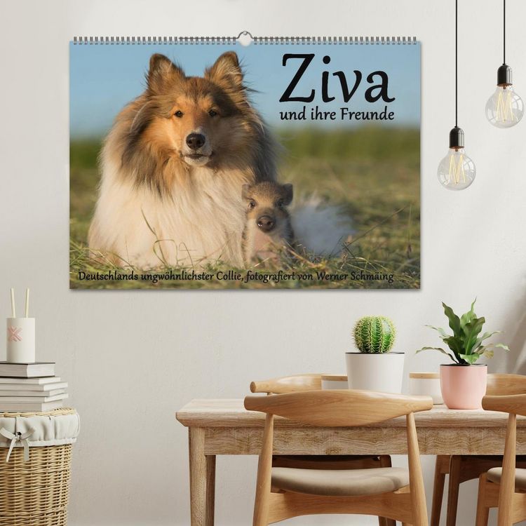 Produktbild: Ziva und ihre Freunde (Wandkalender 2026 DIN A2 quer), CALVENDO Monatskalender