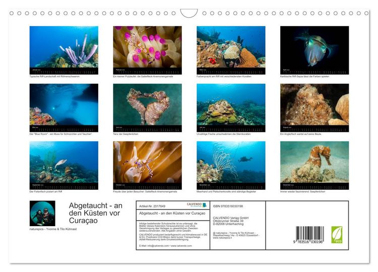 Produktbild: Abgetaucht - an den K&uuml;sten vor Cura&ccedil;ao (Wandkalender 2026 DIN A3 quer), CALVENDO Monatskalender