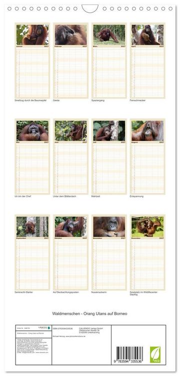 Produktbild: Familienplaner 2027 - Waldmenschen - Orang Utans auf Borneo mit 5 Spalten (Wandkalender, 21 x 45 cm) CALVENDO