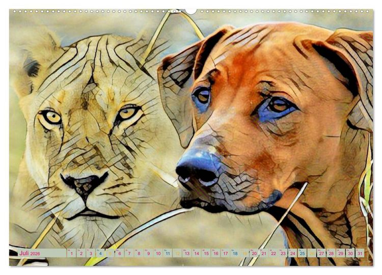 Produktbild: Rhodesian Ridgeback der Hund mit dem Tropfen L&ouml;wenblut (Wandkalender 2026 DIN A2 quer), CALVENDO Monatskalender