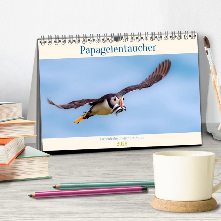 Produktbild: Papageientaucher - Farbenfrohe Flieger der Natur (Tischkalender 2026 DIN A5 quer), CALVENDO Monatskalender