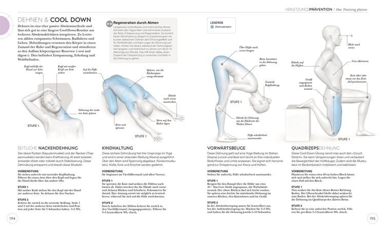 Krafttraining – Die Anatomie verstehen