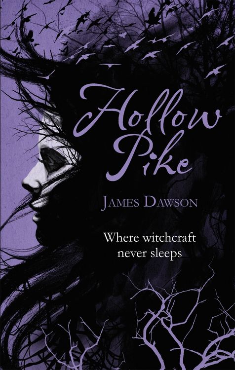 Produktbild: Hollow Pike