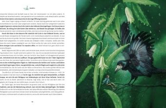 Produktbild: Die wunderbare Reise des Nils Holgersson mit den Wildg&auml;nsen