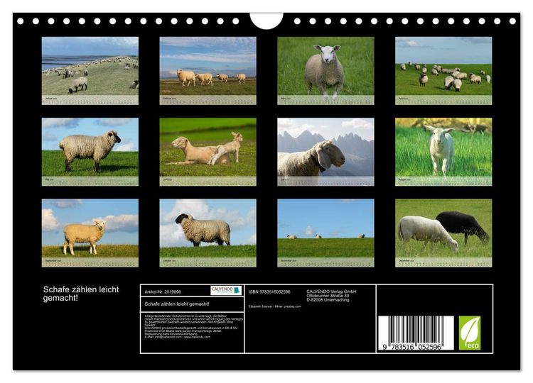 Produktbild: Schafe z&auml;hlen leicht gemacht! (Wandkalender 2026 DIN A4 quer), CALVENDO Monatskalender