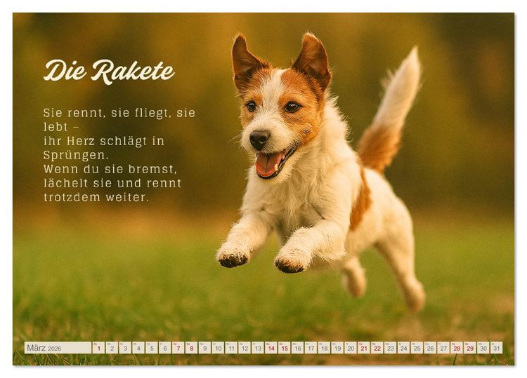Produktbild: Hunde mit Charakter (Tischkalender 2026 DIN A5 quer), CALVENDO Monatskalender