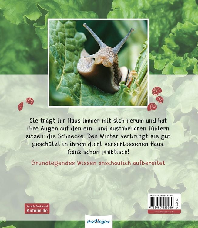 Produktbild: Meine gro&szlig;e Tierbibliothek: Die Schnecke