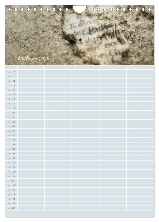 Produktbild: Kleine Sand-Sch&ouml;nheiten / Familienplaner (Wandkalender 2026 DIN A4 hoch), CALVENDO Monatskalender