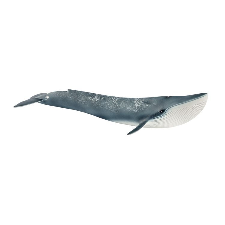 Produktbild: schleich&reg; 14806 Blauwal