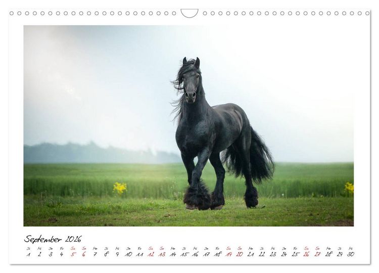 Produktbild: Friesen - stolze Giganten (Wandkalender 2026 DIN A3 quer), CALVENDO Monatskalender
