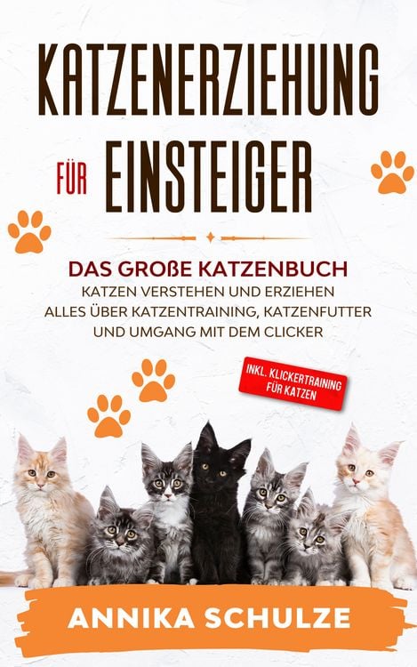 Produktbild: Katzenerziehung f&uuml;r Einsteiger