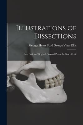 Produktbild: Illustrations of Dissections