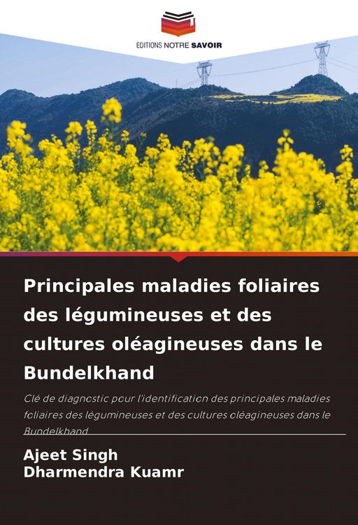 Produktbild: Principales maladies foliaires des l&eacute;gumineuses et des cultures ol&eacute;agineuses dans le Bundelkhand