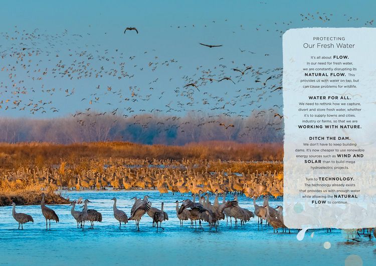 Produktbild: Our Planet: The One Place We All Call Home