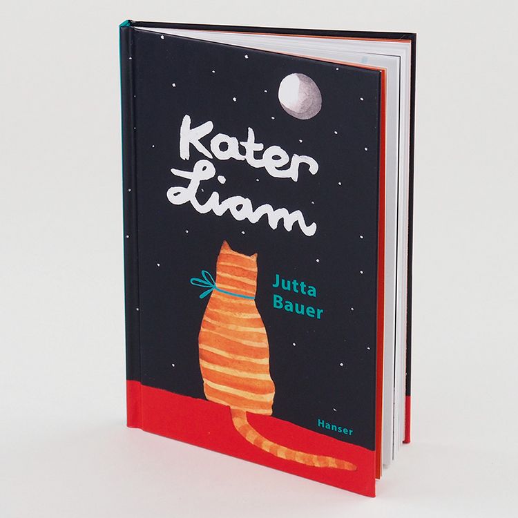 Produktbild: Kater Liam