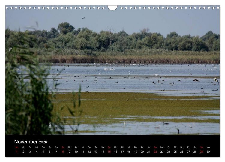 Produktbild: Donaudelta (Wandkalender 2026 DIN A3 quer), CALVENDO Monatskalender