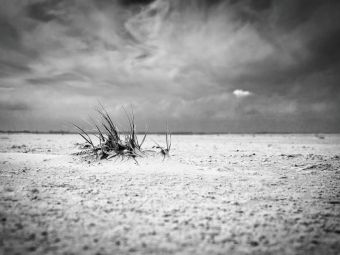 Produktbild: CALVENDO Puzzle Strandgeselle | 1000 Teile Lege-Gr&ouml;&szlig;e 64x48cm Foto-Puzzle f&uuml;r gl&uuml;ckliche Stunden