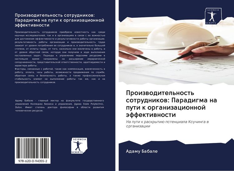 Produktbild: Proizwoditel'nost' sotrudnikow: Paradigma na puti k organizacionnoj &auml;ffektiwnosti