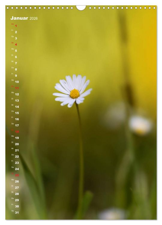 Produktbild: Colors of Nature (Wandkalender 2026 DIN A3 hoch), CALVENDO Monatskalender