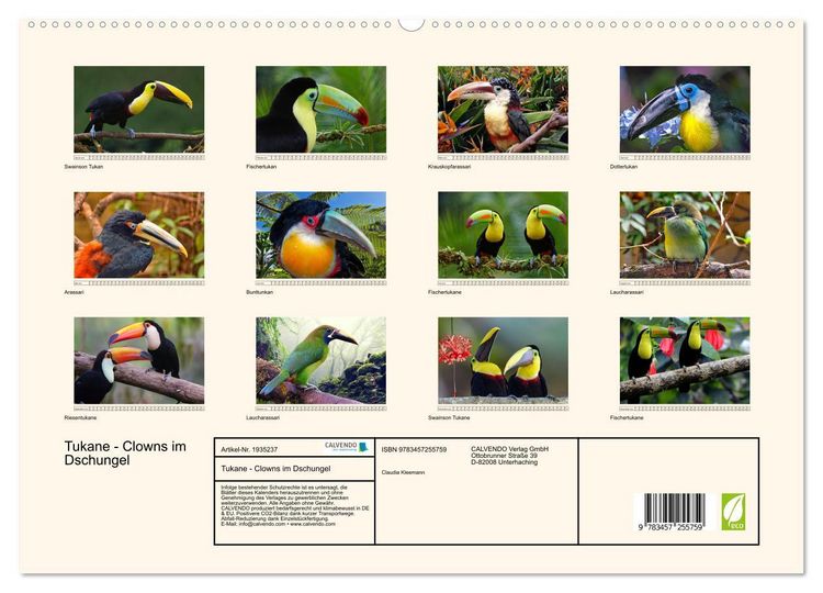 Produktbild: Tukane - Clowns im Dschungel (hochwertiger Premium Wandkalender 2026 DIN A2 quer), Kunstdruck in Hochglanz