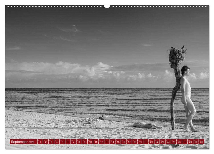Produktbild: Haut(e) Couture (hochwertiger Premium Wandkalender 2026 DIN A2 quer), Kunstdruck in Hochglanz