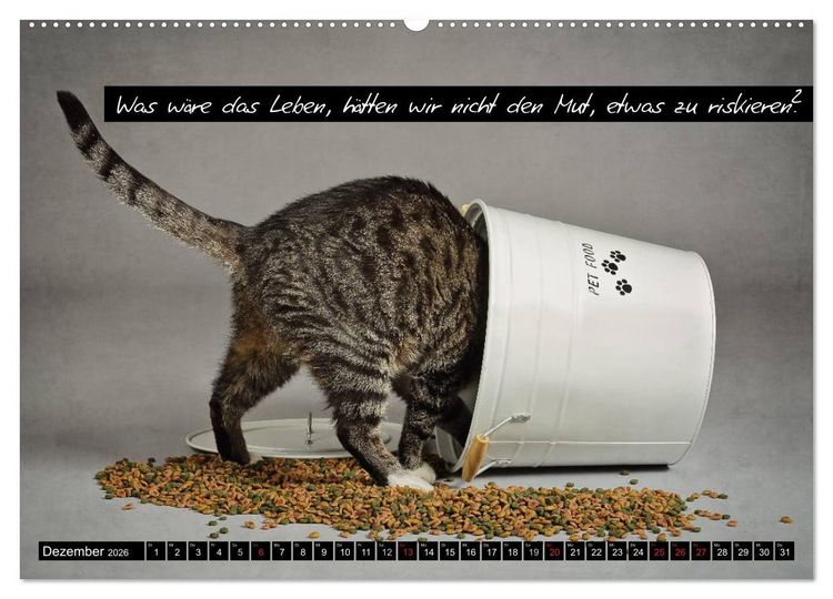 Produktbild: Der "philosophische" Katzenkalender 2026 (hochwertiger Premium Wandkalender 2026 DIN A2 quer), Kunstdruck in Hochglanz