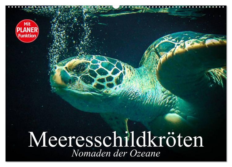Produktbild: Meeresschildkr&ouml;ten. Nomaden der Ozeane (Wandkalender 2026 DIN A2 quer), CALVENDO Monatskalender