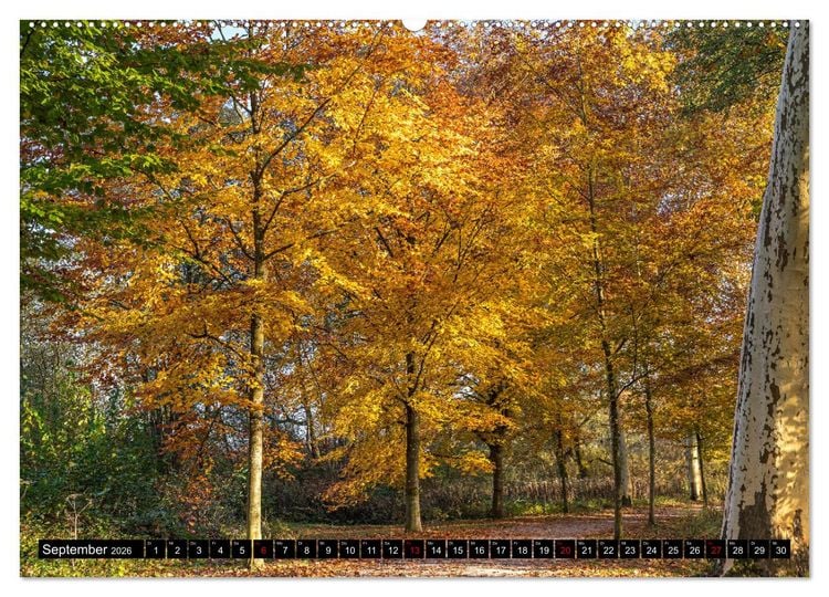 Produktbild: Herbst rund um den Bodensee (hochwertiger Premium Wandkalender 2026 DIN A2 quer), Kunstdruck in Hochglanz