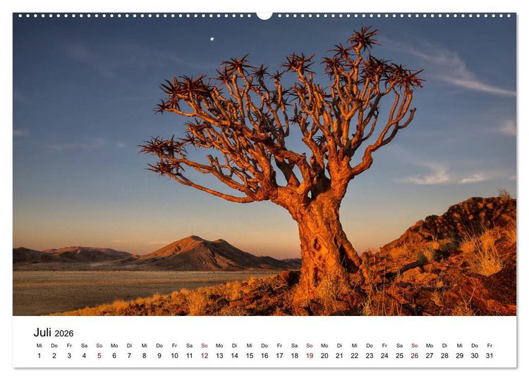 Produktbild: B&auml;ume in Namibias Landschaften (hochwertiger Premium Wandkalender 2026 DIN A2 quer), Kunstdruck in Hochglanz