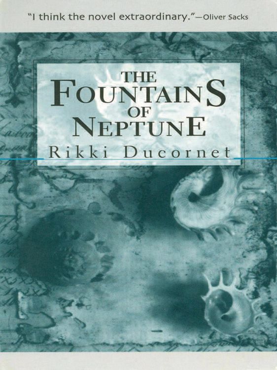 Produktbild: The Fountains of Neptune