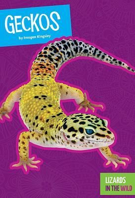 Produktbild: Geckos